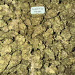 Grape Gas HowToGetNearMe BestPlace LowestPrice Coupon Discount For Smoking Best High Smoke Shop Online Near Me StrongestBrand BestBrand Where To Buy THC THCA D8 D9 Hemp Bloomz