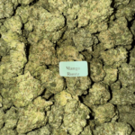 Mango Runtz HowToGetNearMe BestPlace LowestPrice Coupon Discount For Smoking Best High Smoke Shop Online Near Me Str StongestBrand BestBrand Where To Buy THC THCA D8 D9 Hemp Bloomz
