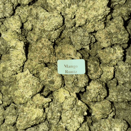 Mango Runtz HowToGetNearMe BestPlace LowestPrice Coupon Discount For Smoking Best High Smoke Shop Online Near Me Str StongestBrand BestBrand Where To Buy THC THCA D8 D9 Hemp Bloomz