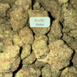 Truffle Aloha HowToGetNearMe BestPlace LowestPrice Coupon Discount For Smoking Best High Smoke Shop Online Near Me StrongestBrand BestBrand Where To Buy THC THCA D8-D9 Hemp Bloomz