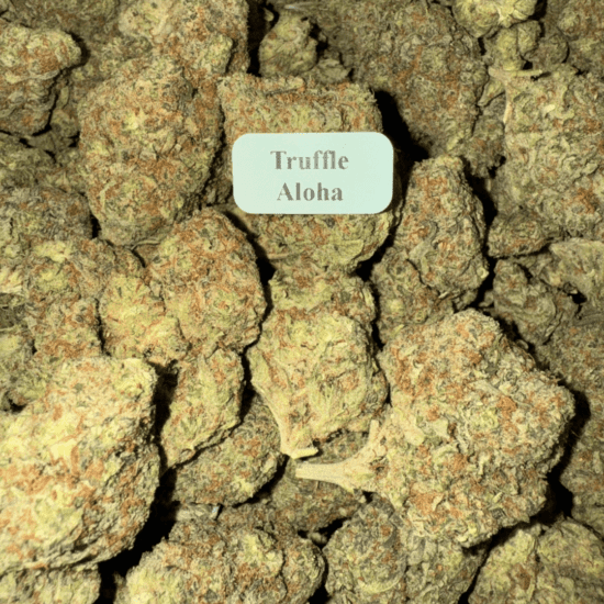 Truffle Aloha HowToGetNearMe BestPlace LowestPrice Coupon Discount For Smoking Best High Smoke Shop Online Near Me StrongestBrand BestBrand Where To Buy THC THCA D8-D9 Hemp Bloomz