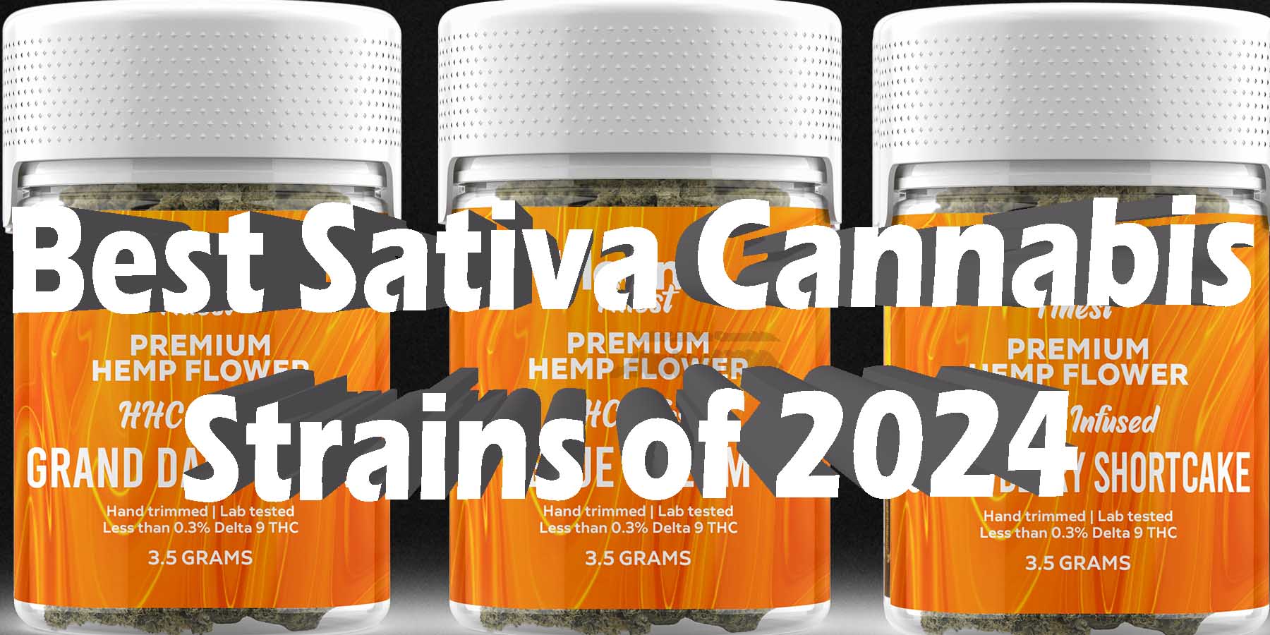 Best Sativa Cannabis Strains of 2024 WhereToGet HowToGetNearMe BestPlace LowestPrice Coupon Discount For Smoking Best High Smoke Shop Online Near Me Binoid Bloomz.