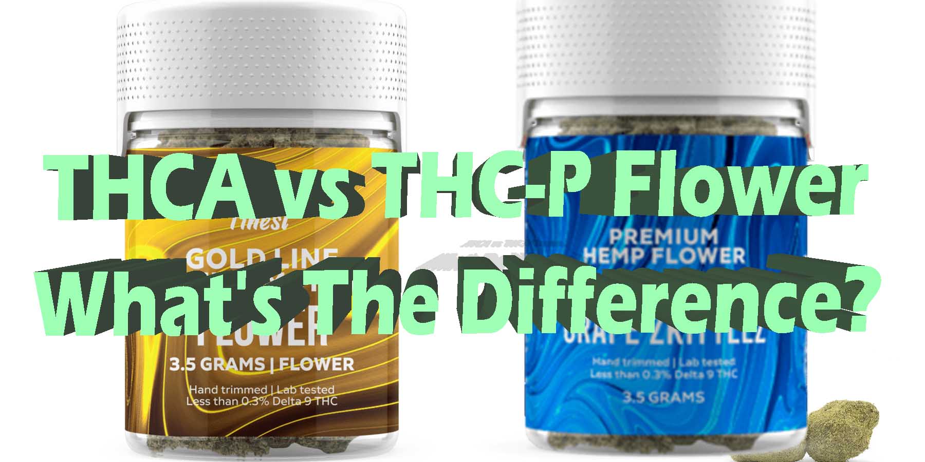THCA Flower vs THC P Flower What's The Difference HowToGetNearMe BestPlace LowestPrice Coupon Discount For Smoking Best Brand D9 D8 THCA Indoor Good Binoid