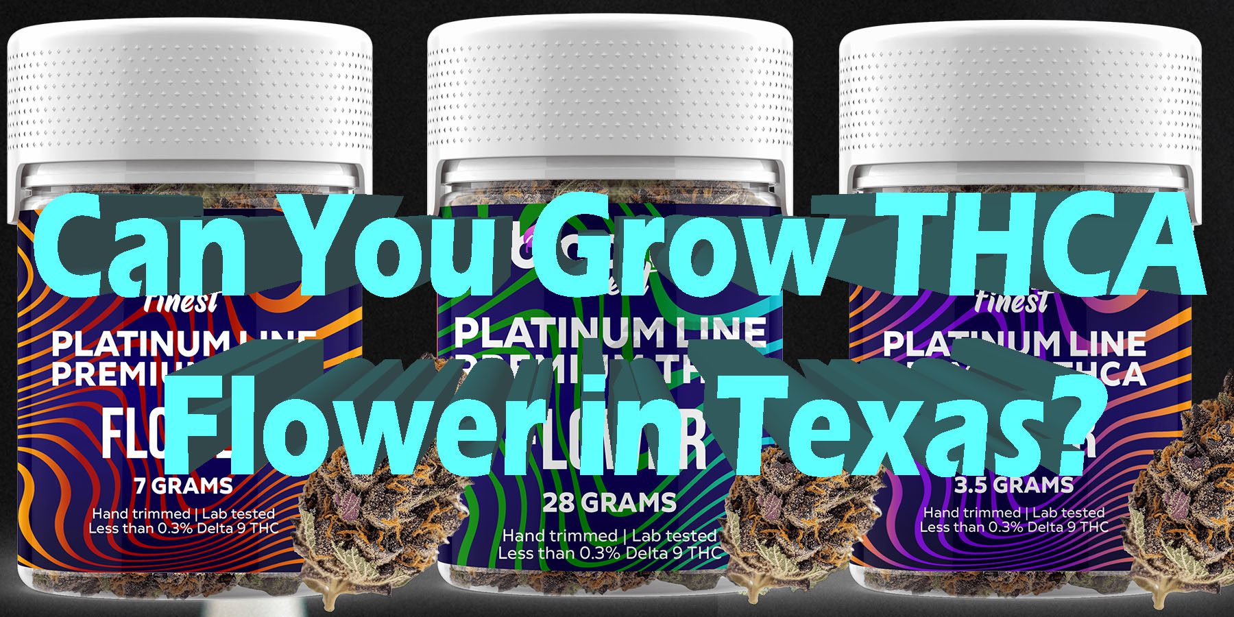Can You Grow THCA Flower in Texas HowToGetNearMe BestPlace LowestPrice Coupon Discount For Smoking Best Brand D9 D8 THCA Indoor Good Binoid.