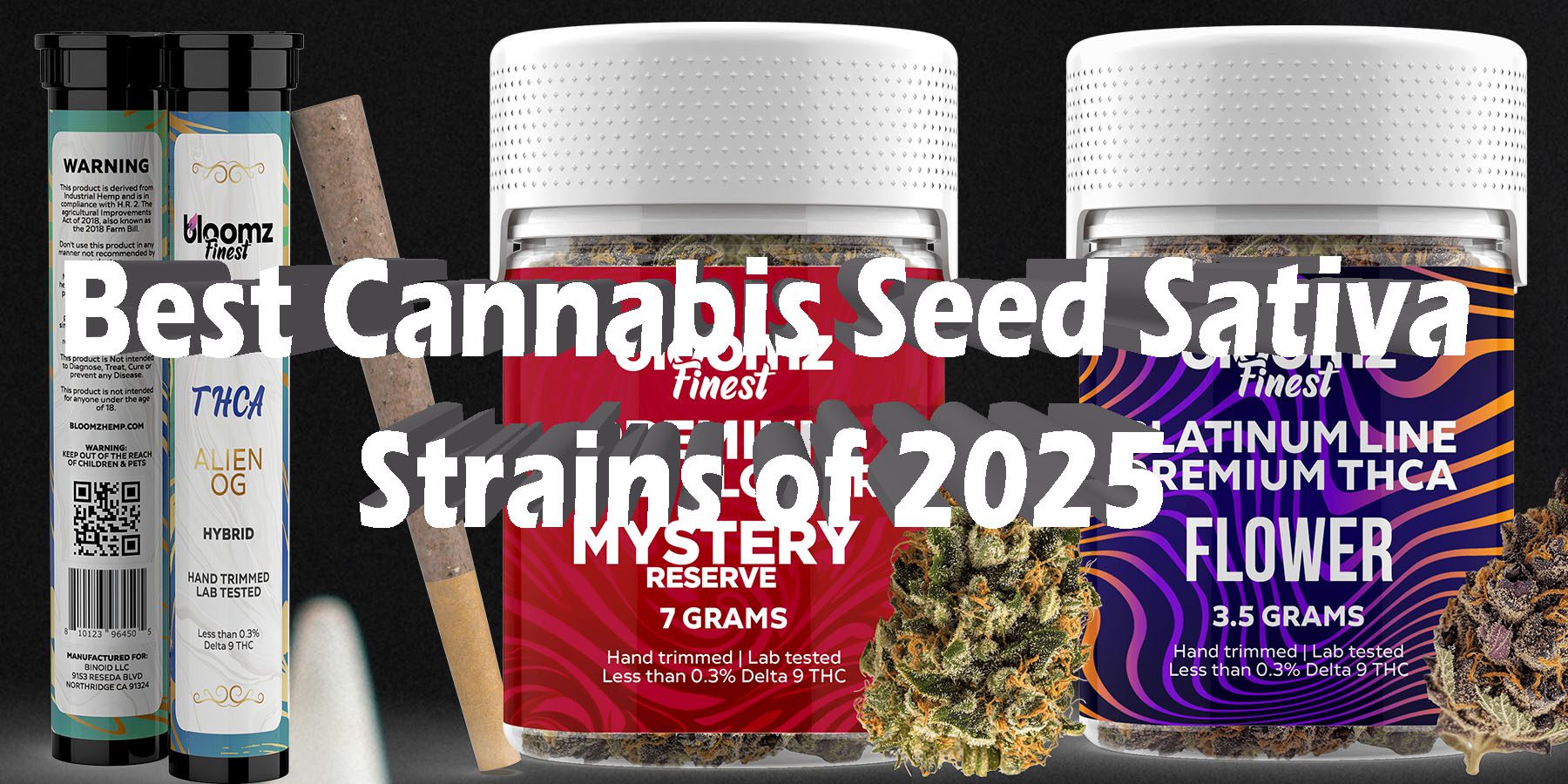 Best Cannabis Seed Sativa Strains of 2025 HowToGetNearMe BestPlace LowestPrice Coupon Discount For Smoking Best Brand D9 D8 THCA Indoor Biniod.