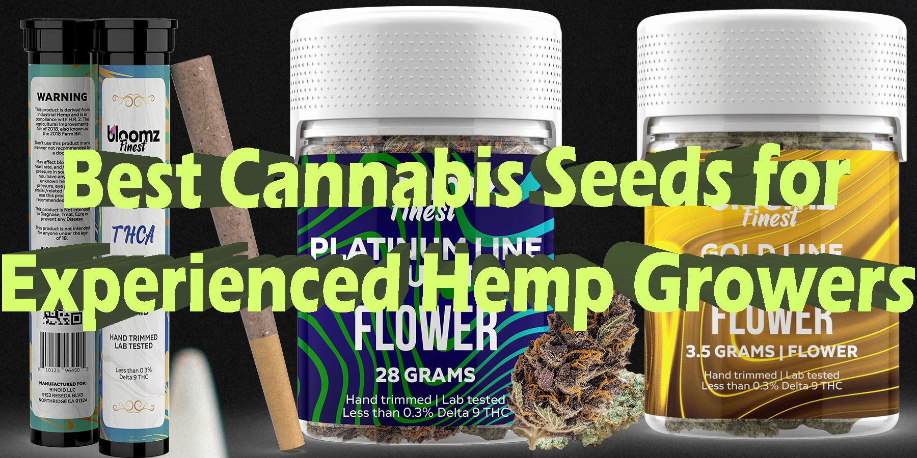 Best Cannabis Seeds for Experienced Hemp Growers HowToGetNearMe BestPlace LowestPrice Coupon Discount For Smoking Best Brand D9 D8 THCA Indoor Biniod.