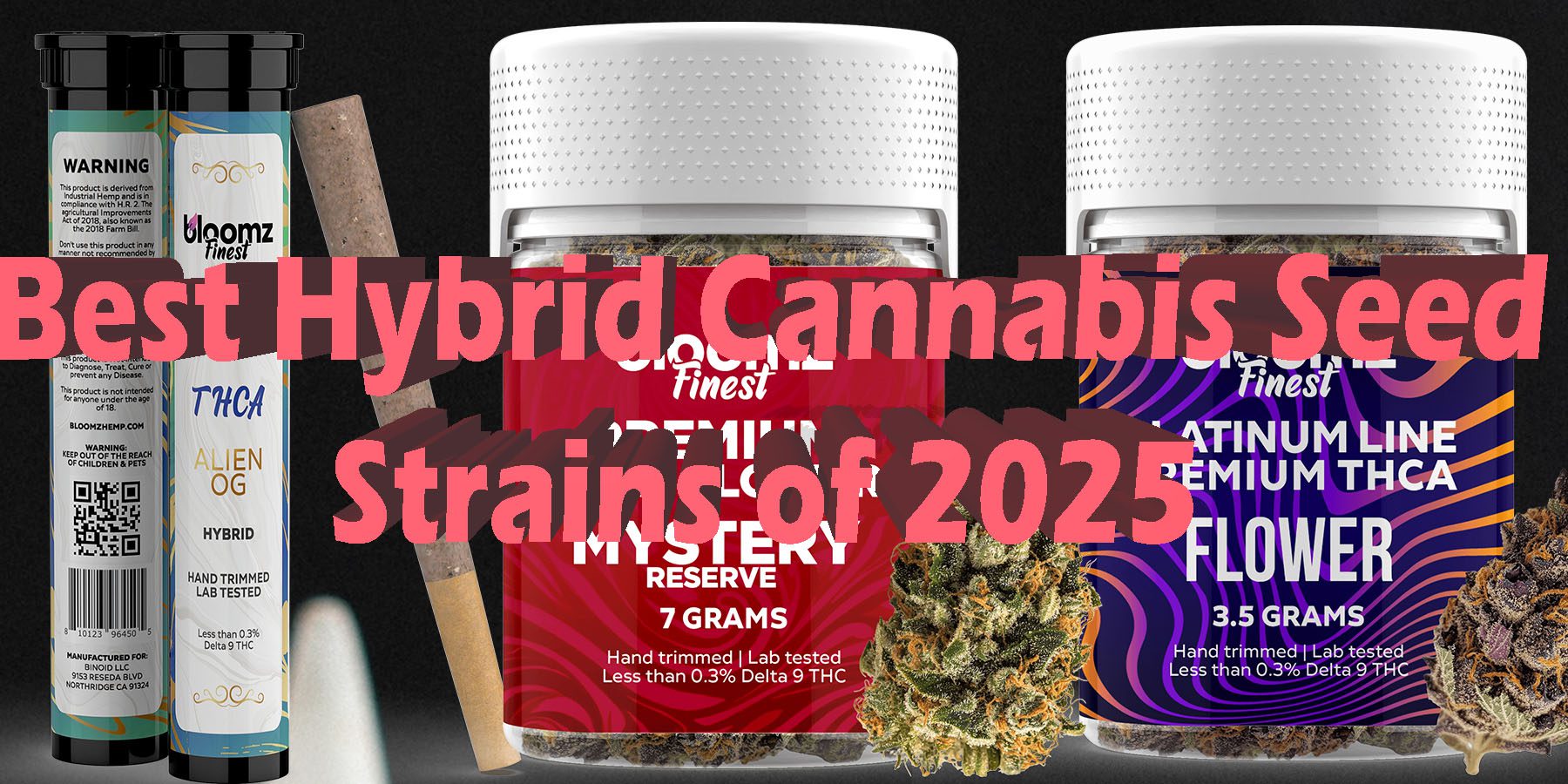 Best Hybrid Cannabis Seed Strains of 2025 HowToGetNearMe BestPlace LowestPrice Coupon Discount For Smoking Best Brand D9 D8 THCA Indoor Biniod.