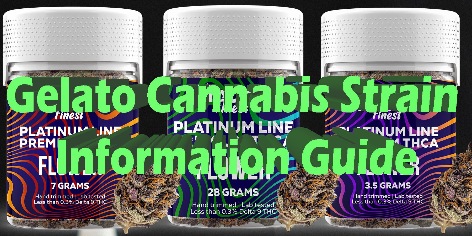 Gelato Cannabis Strain Information Guide HowToGetNearMe BestPlace LowestPrice Coupon Discount For Smoking Best Brand D9 D8 THCA Indoor Biniod.