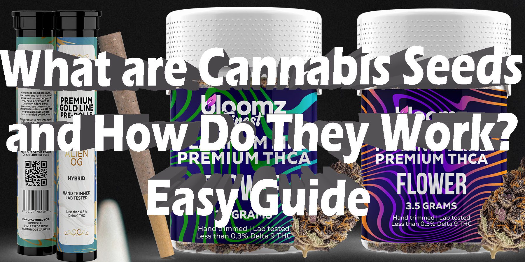 What are Cannabis Seeds and How Do They Work Easy Guide HowToGetNearMe BestPlace LowestPrice Coupon Discount For Smoking Best Brand D9 D8 THCA Indoor Biniod