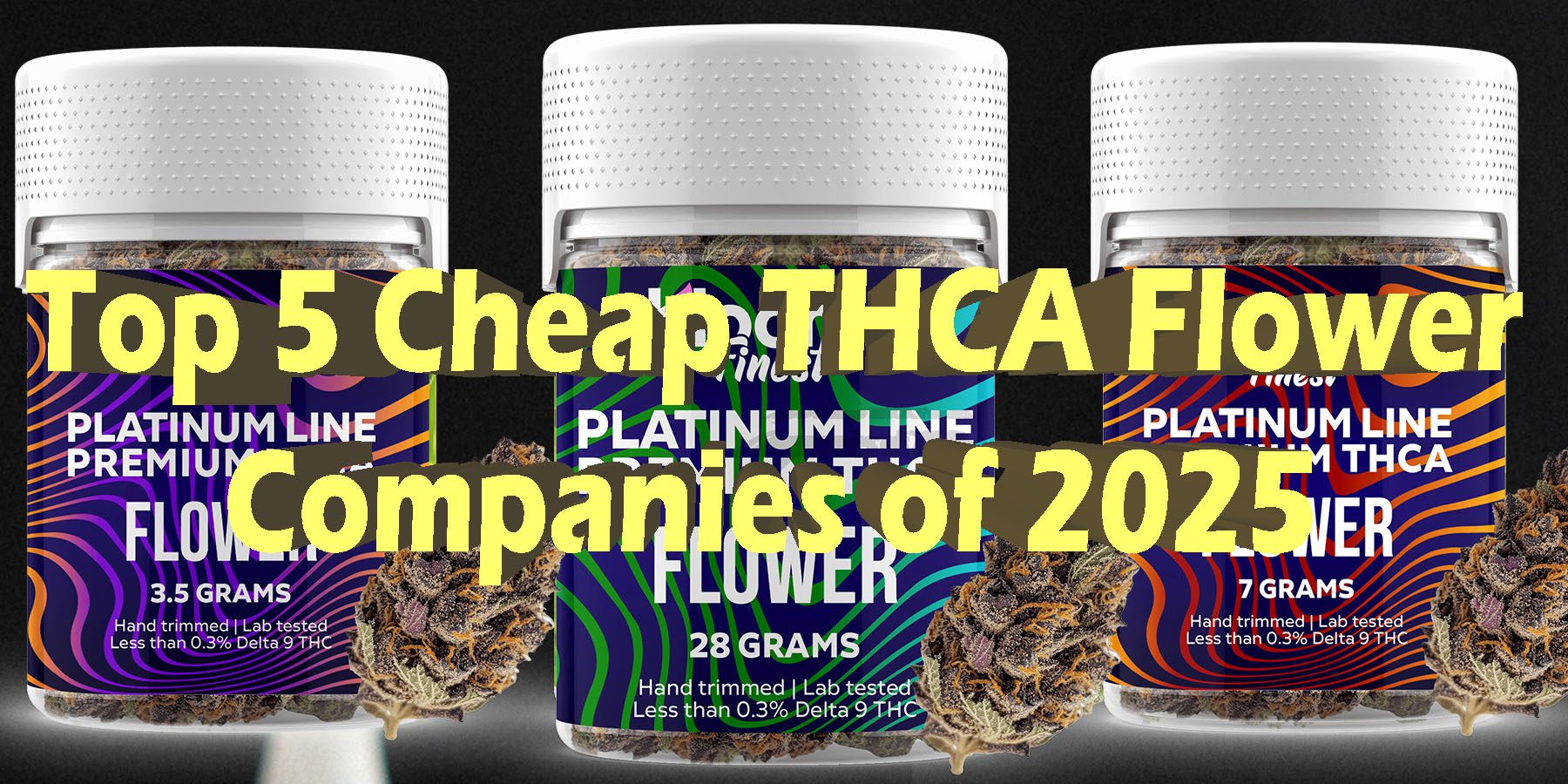 Top 5 Cheap THCA Flower Companies of 2025 HowToGetNearMe BestPlace LowestPrice Coupon Discount For Smoking Best Brand D9 D8 THCA Indoor Good Binoid