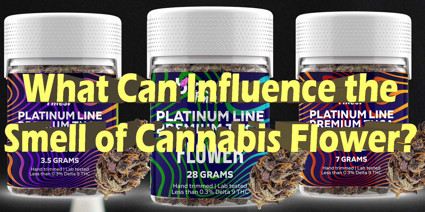 What Can Influence the Smell of Cannabis Flower Wholesale