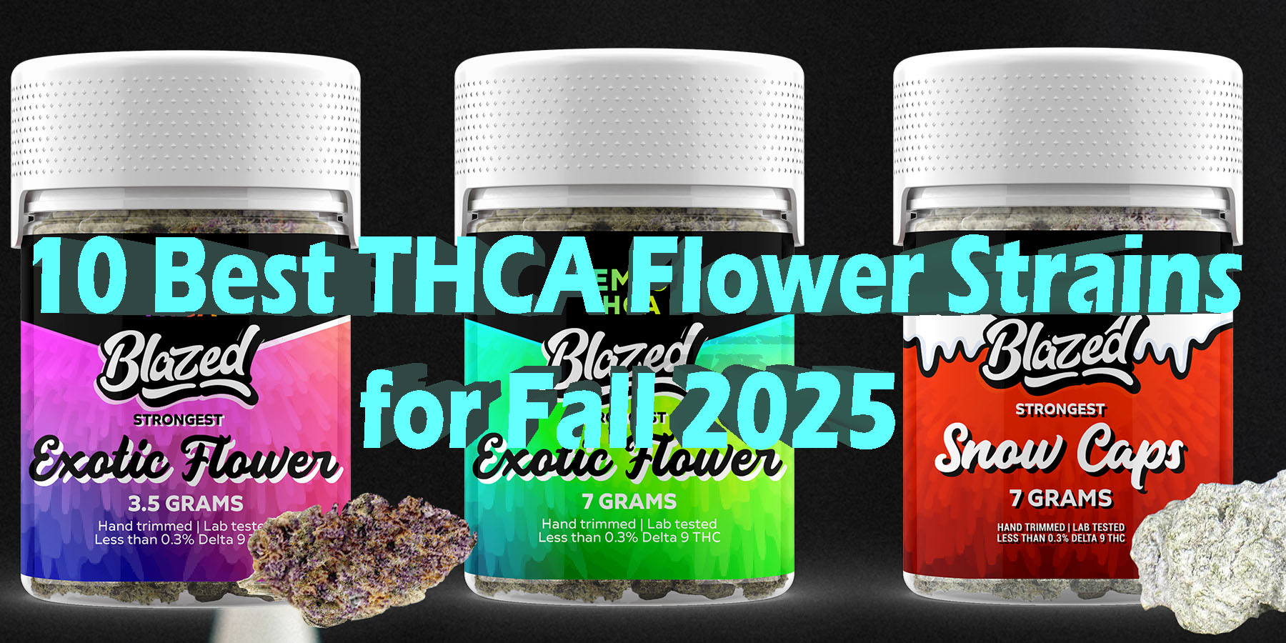10 Best THCA Flower Strains for Fall 2025 HowToGetNearMe BestPlace LowestPrice Coupon Discount For Smoking Best Brand D9 D8