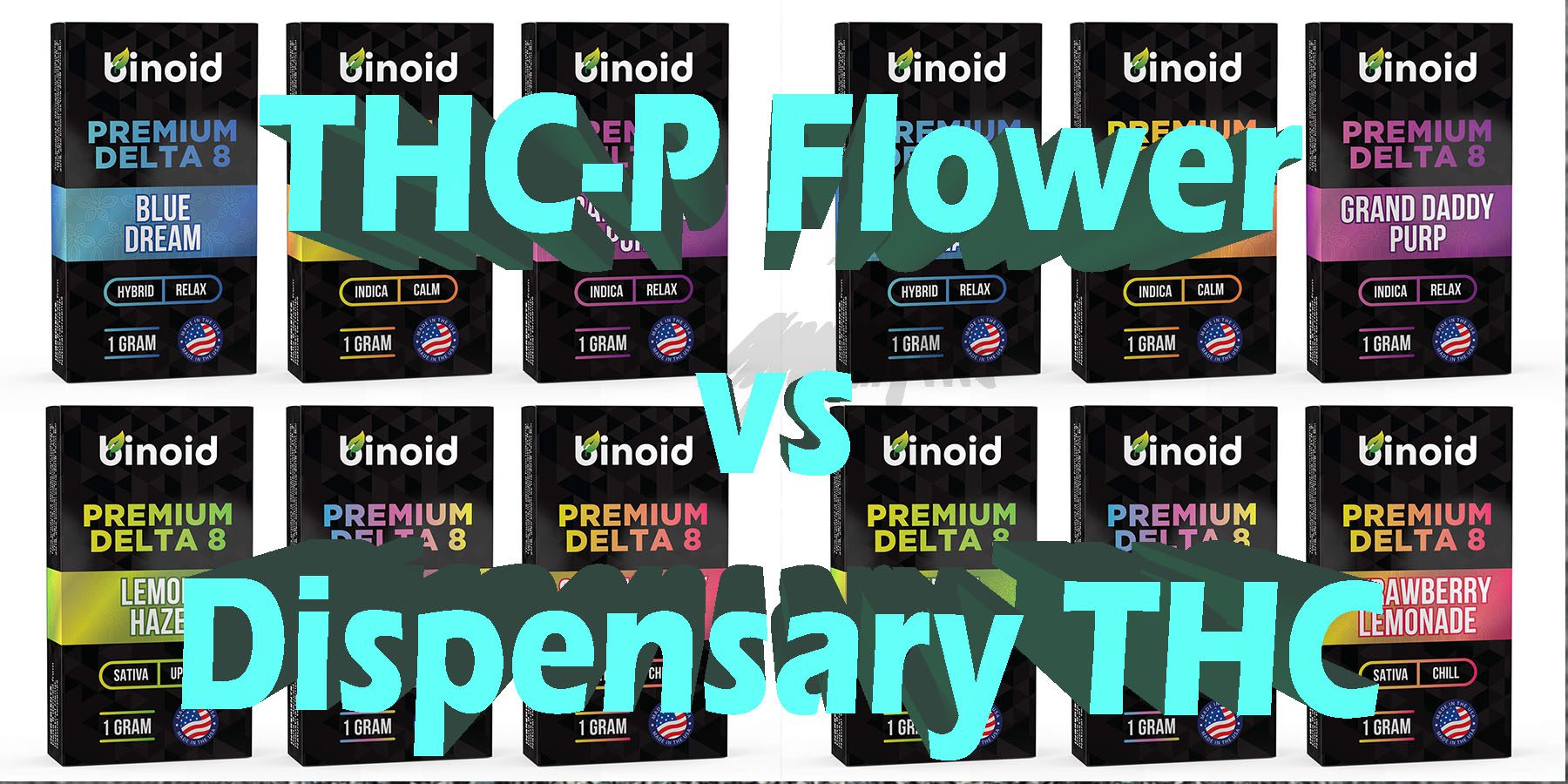 THC P Flower vs Dispensary THC HowToGetNearMe BestPlace LowestPrice Coupon Discount For Smoking Best Brand D9 D8 THCA Indoor Good Binoid.