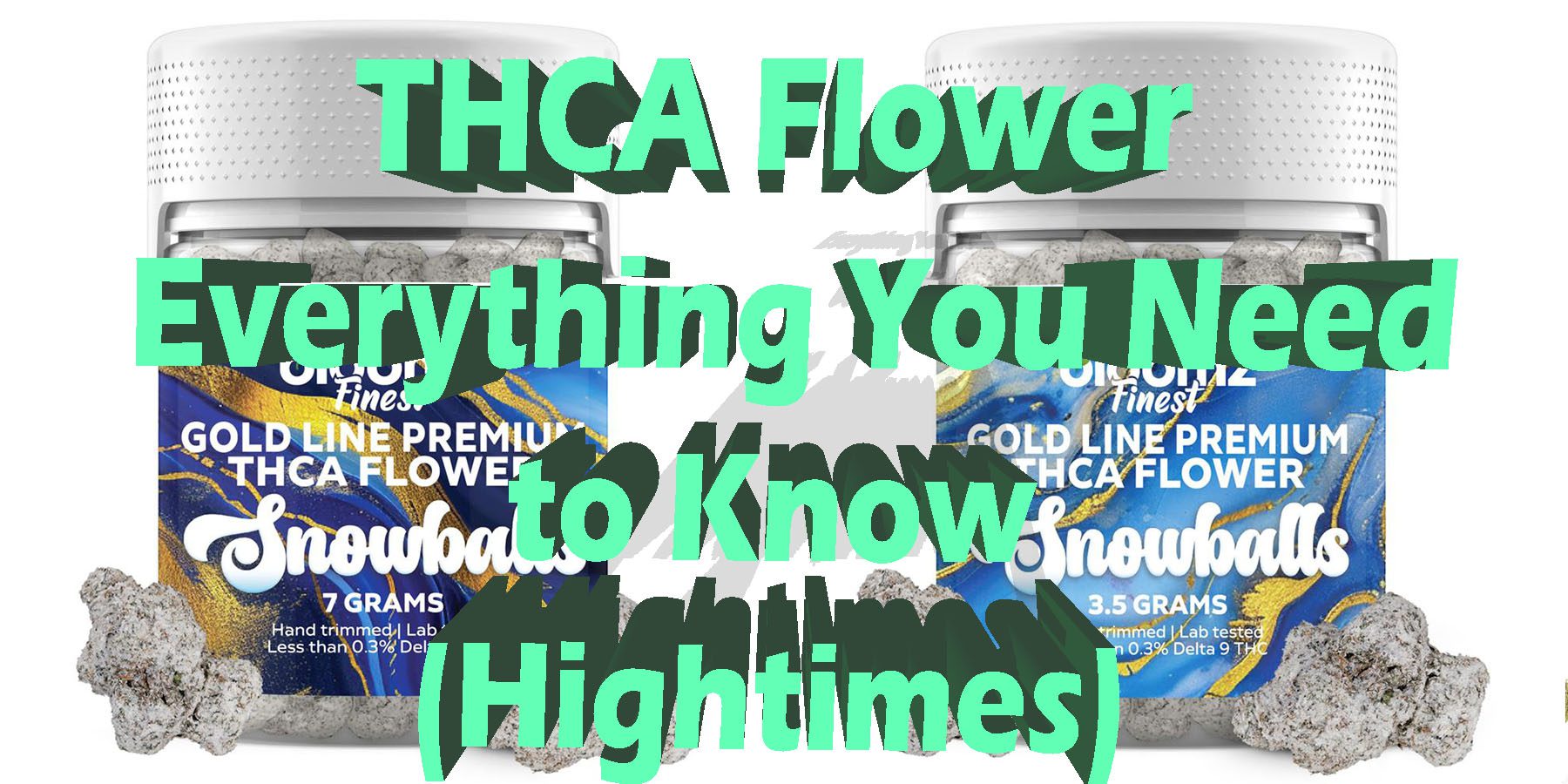 THCA Flower Everything You Need to Know Hightimes HowToGetNearMe BestPlace LowestPrice Coupon Discount For Smoking Best Brand D9 D8 THCA Indoor Good Binoid